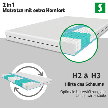 H2&H3